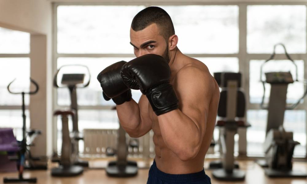 Boxing Gloves For Heavy Bag The Best Boxing Glove Brands